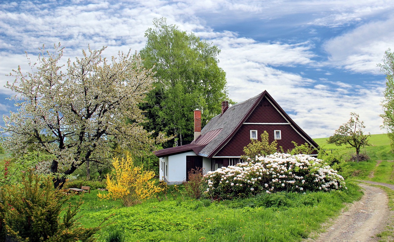 Read more about the article Sådan vælger du den perfekte husforsikring for dit hjem