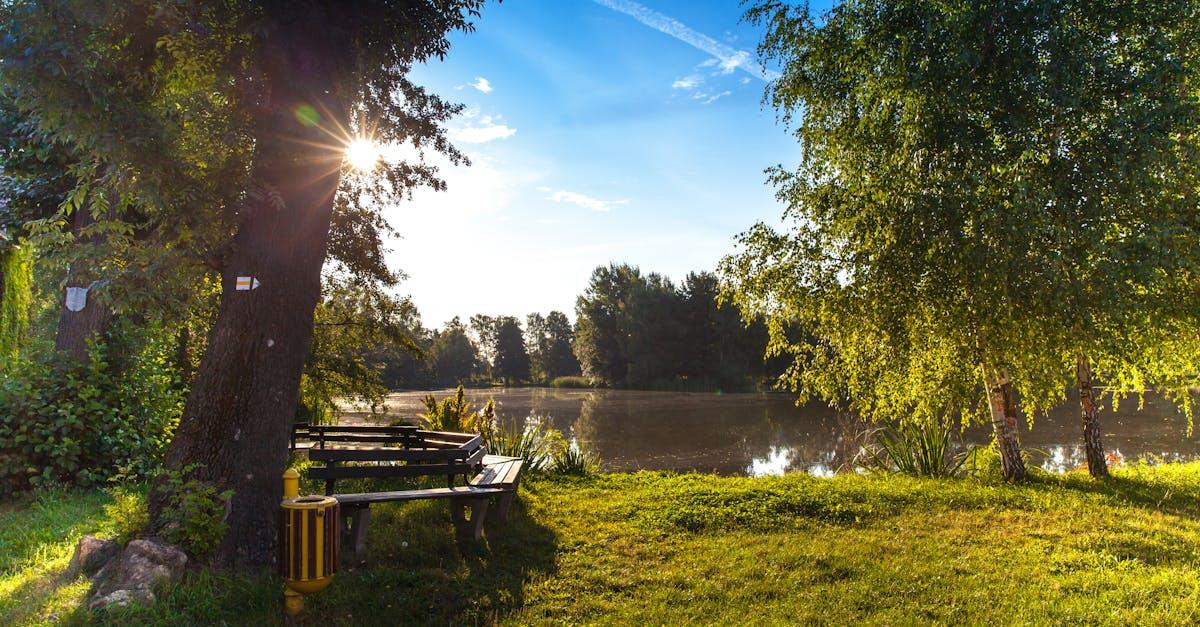 You are currently viewing Stålkanter – skab skarpe linjer og langtidsholdbare afgrænsninger